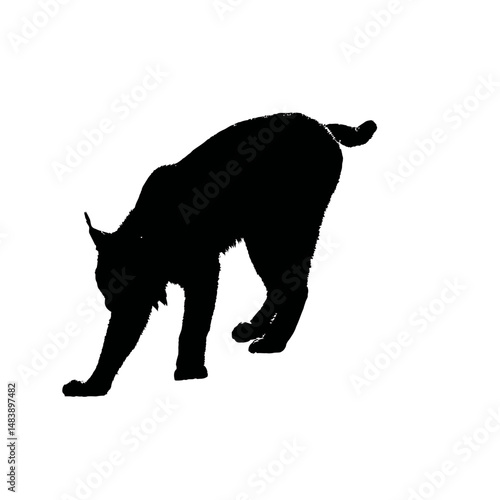 Solid black silhouette of a lynx stalking