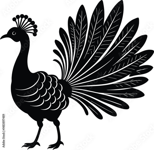 Lyrebird Silhouette Displaying Tail Feathers