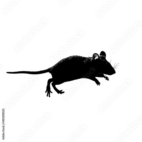 Solid black silhouette of a mouse scurrying