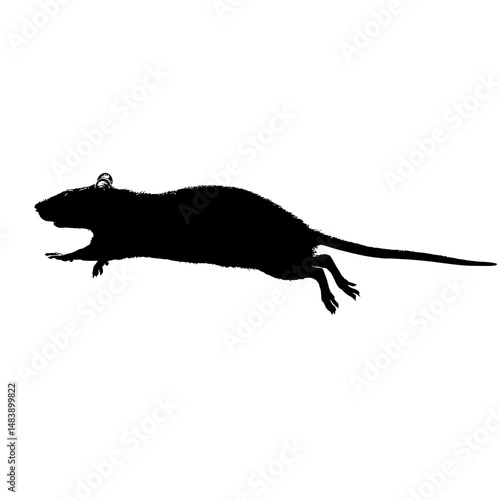 Solid black silhouette of a rat running