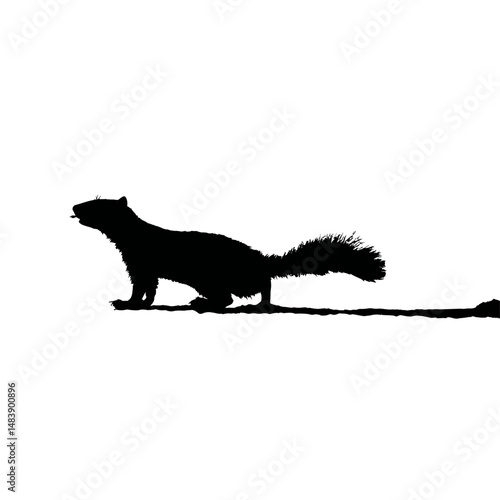 Solid black silhouette of a skunk spraying