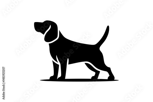 Silhouette of a beagle dog standing patiently