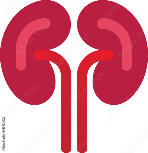 Kidney icon on transparent background 
