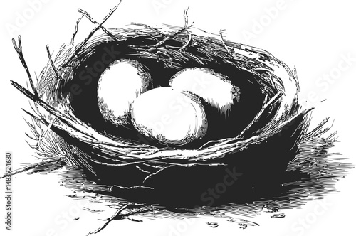 Illustration of bird nest with three eggs in black and white design sketch. Vector illustration