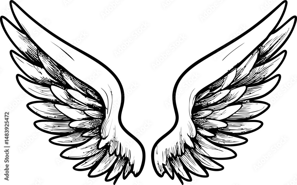 Obraz premium Illustration of detailed black and white angel wings with intricate feathers. Vector illustration in sketch style