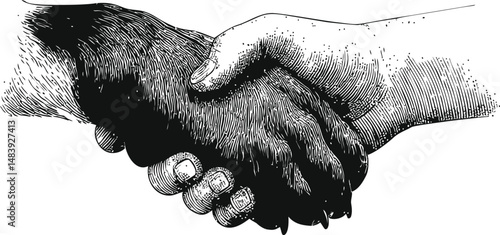 Detailed black and white sketch of human hand holding dog paw, symbolizing friendship. Vector illustration in sketch style