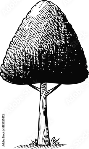 Black and white illustration of a tree with detailed bark texture. Vector illustration in sketch style