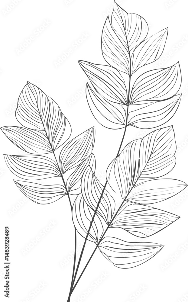 Line art of tropical leaves with detailed lines. Vector illustration in sketch style Line art of tropical leaves with detailed lines. Vector illustration in sketch style