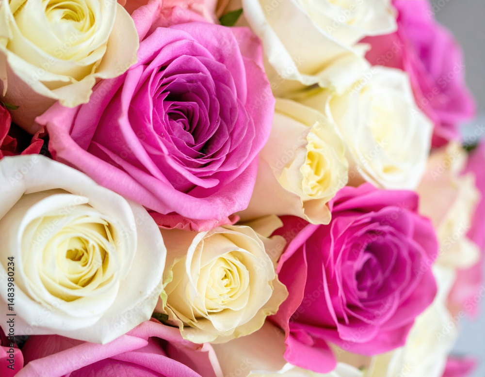 Fototapeta premium Vibrant bouquet of roses showcases delicate petals in shades of pink and cream, evoking sense of beauty and elegance