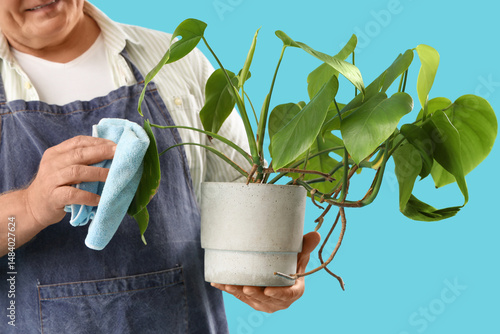 Mature gardener wiping plan...