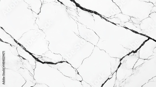 Clean white marble surface with bold black vein pattern for modern elegant design element
