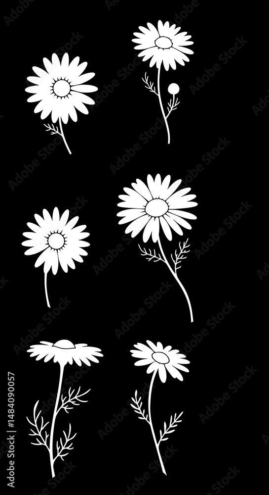 Obraz premium White Daisy Sketches: Elegant Line Art on Black