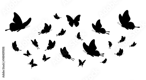 Silhouette Butterflies: A Flight of Grace