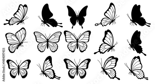Elegant Butterfly Silhouettes: Black & White Vector Set