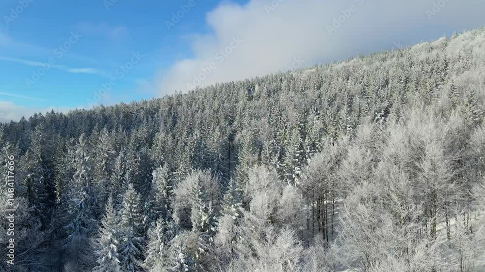 winter landscape mountains forest drone flyby blue sky winter landscape mountains forest drone flyby blue sky