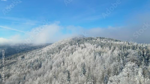 Wallpaper Mural winter landscape mountains forest drone flyby blue sky Torontodigital.ca