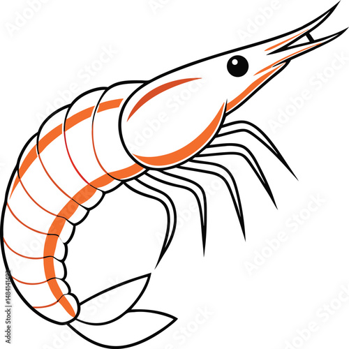vector illustration of shrimp