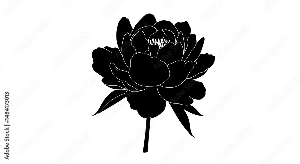Obraz premium Black Peony Line Art: Elegant Floral Silhouette