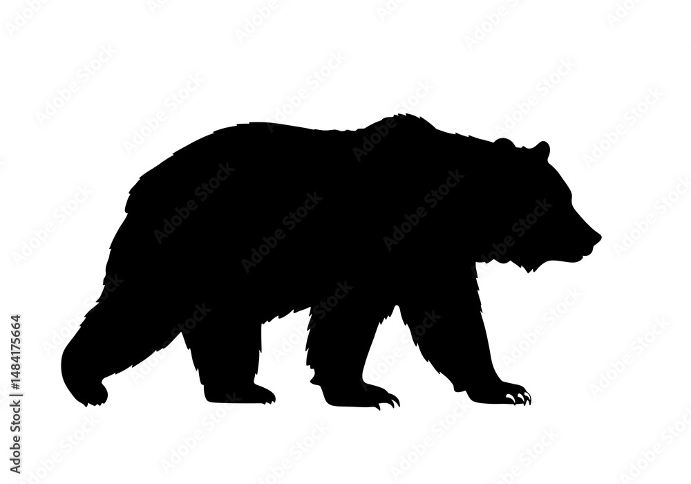 Fototapeta premium Majestic Bear Silhouette: Powerful, Dark Elegance