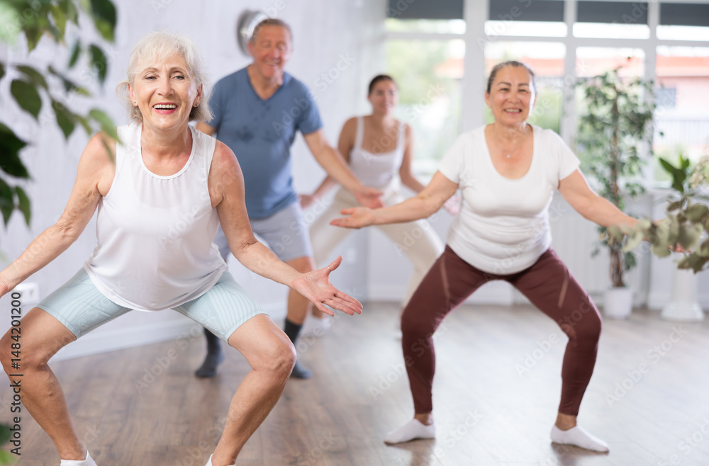 Group of happy mature sports women and man in activewear exercising dynamic dancing movemens in modern gym studio Group of happy mature sports women and man in activewear exercising dynamic dancing movemens in modern gym studio
