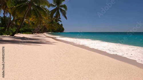 Tropical beach scene featuring palm trees, turquoise water and gentle waves meeting the sandy shore on a sunny day.
