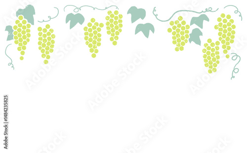Hanging Grape Border – Grapevine,Hand-drawn Top Frame Illustration,Woodcut Style,Vintage, Rustic, Engraving style,green,fruits,vector,葡萄,ぶどう,マスカット