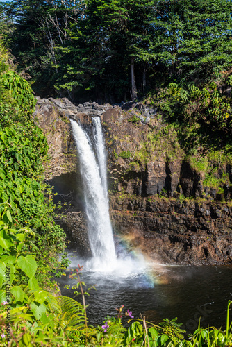 waterfall in the forest