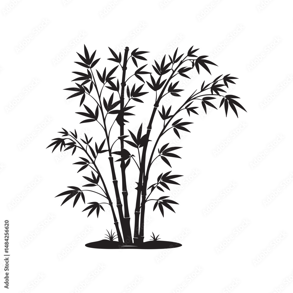 Obraz premium silhouette of bamboo tree