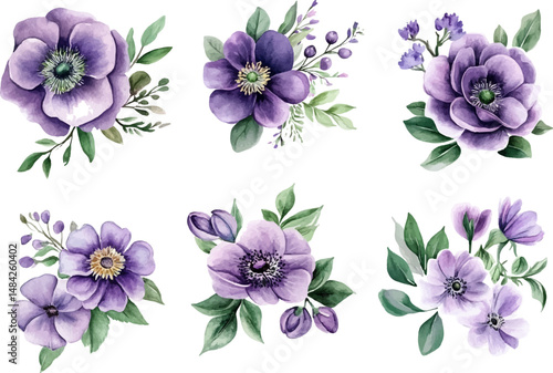 collection of flowers