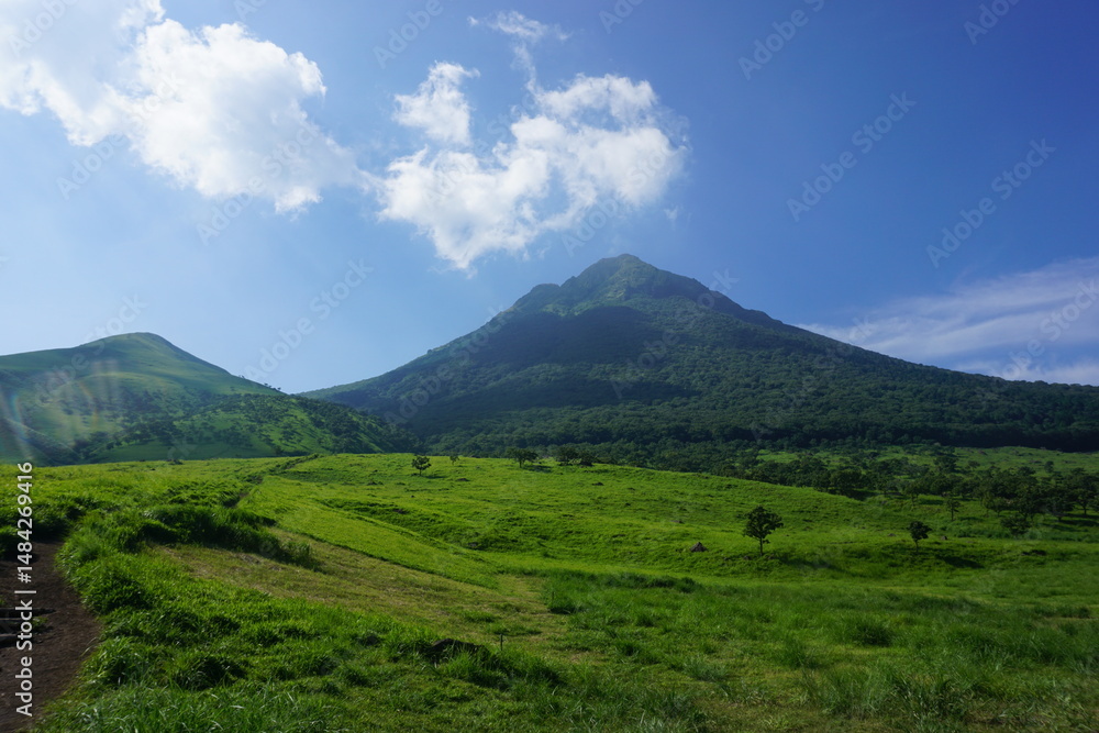 Fototapeta premium 由布岳