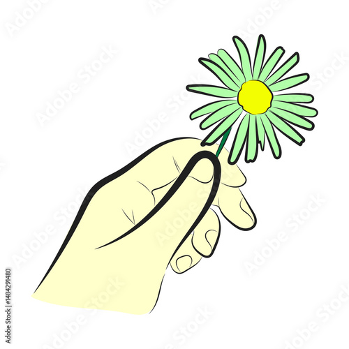 Minimalist Hand Holding Green Daisy Vector Illustration