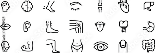 Anatomy icon human body part and organs