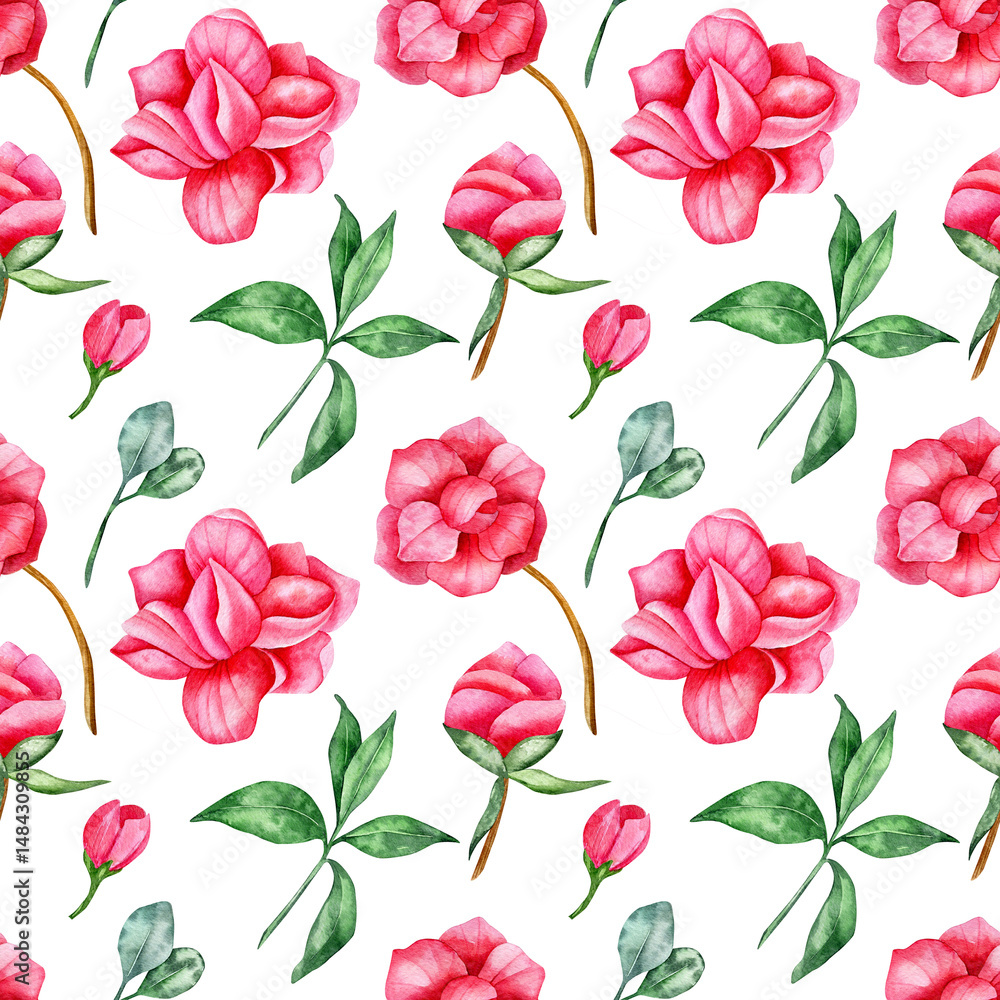 Seamless watercolor pattern. Hand drawn bright pink camellia flowers and buds isolated on white background. Design for wrapping paper, fabric printing. Floral template. Seamless watercolor pattern. Hand drawn bright pink camellia flowers and buds isolated on white background. Design for wrapping paper, fabric printing. Floral template.