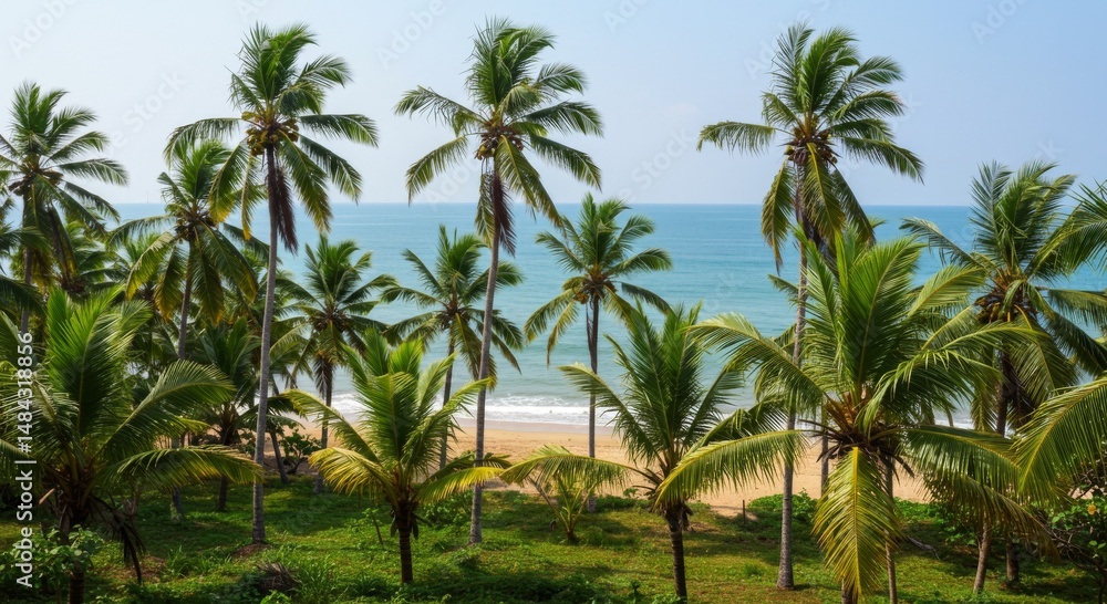 Lush Green Palm Trees on Tropical Sandy Beach with Azure Ocean Lush Green Palm Trees on Tropical Sandy Beach with Azure Ocean