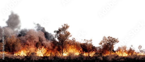 Wildfire consuming trees and emitting smoke.