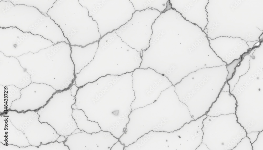 Obraz premium Abstract White Marble Texture with Black Veins and Cracks for Stylish Design and Background Use