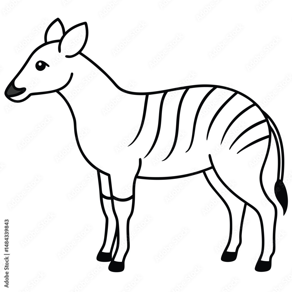 Obraz premium Okapi vector illustration white background
