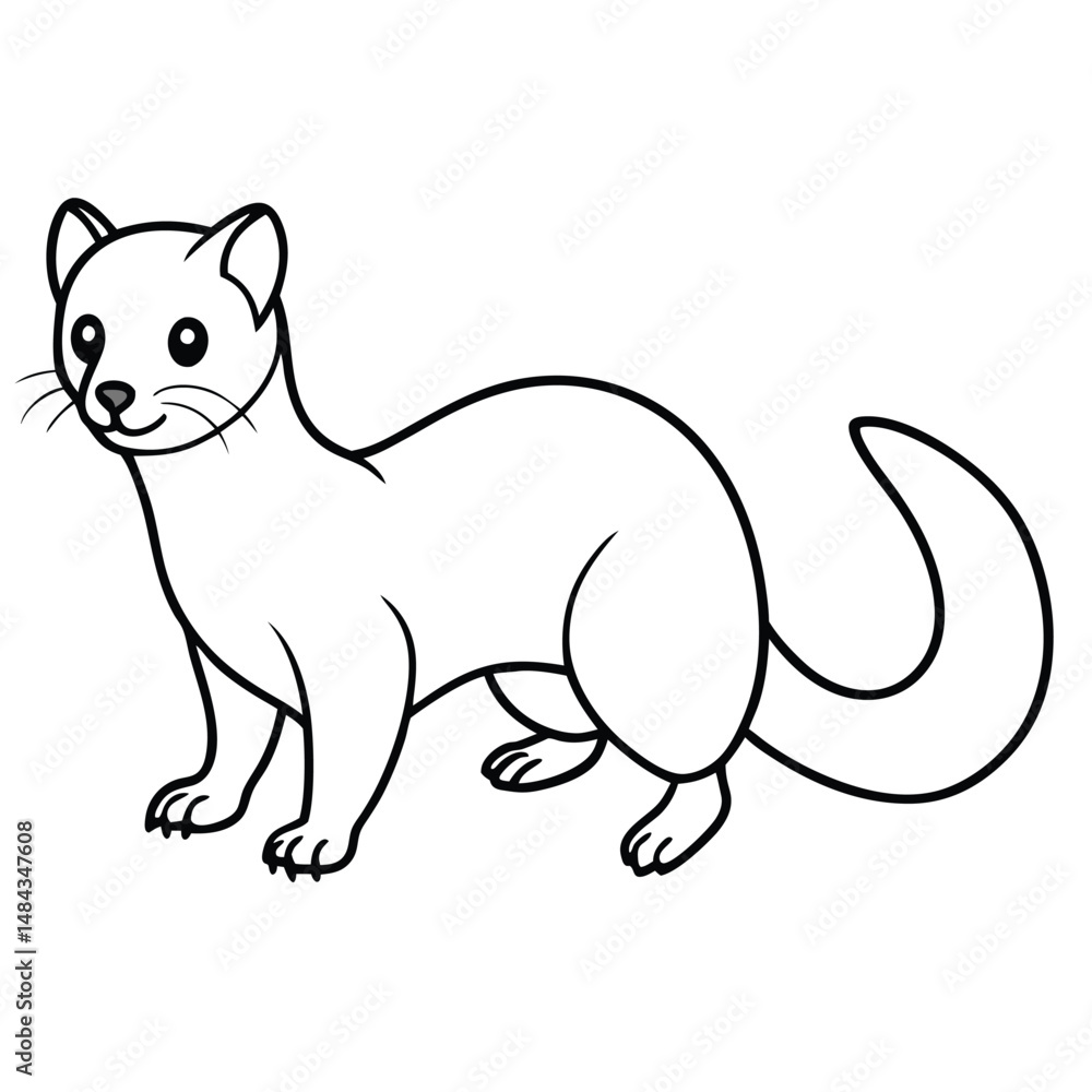 Pine Marten vector illustration white background Pine Marten vector illustration white background