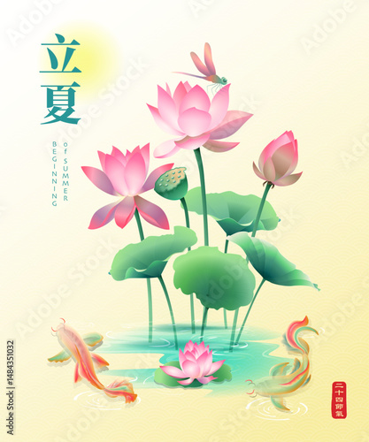 Beginning of Summer poster template with elegant lotus flowers, dragonfly and koi carp fish. Vector illustration of beautiful flowers and typography design. Chinese translation : Beginning of Summer.