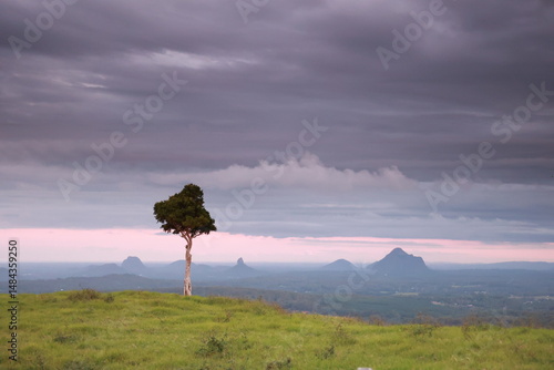 One Tree Hill, Maleny, QLD