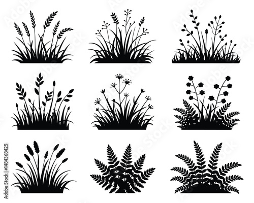 Silhouette collection of various grasses and plants vector illustrations isolated on white background