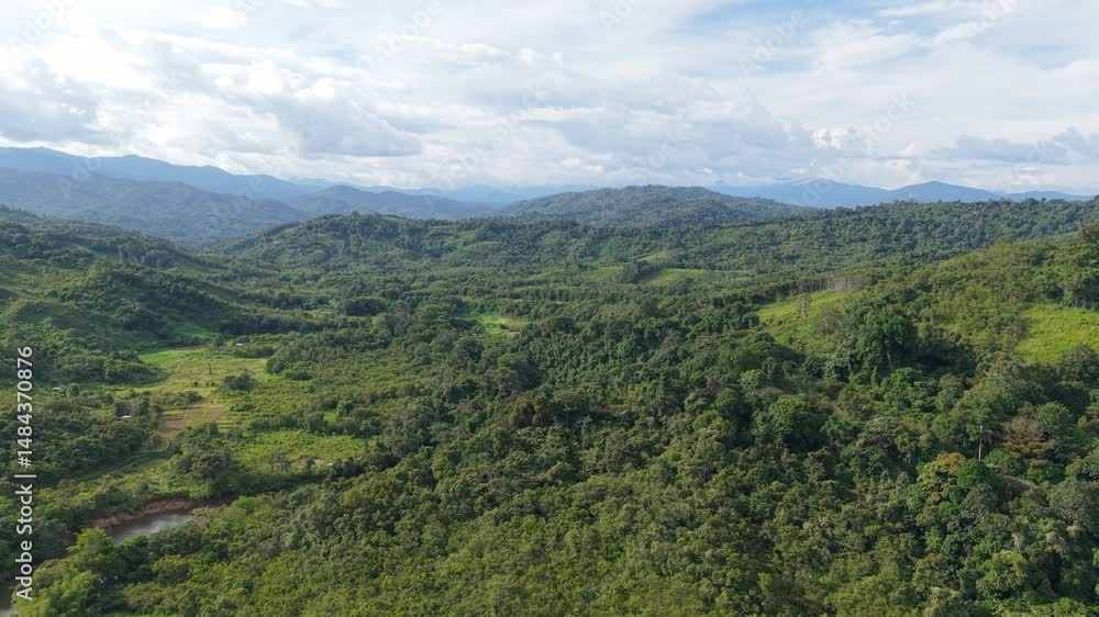 Top down dolly in shot glides up to thick lush forested ridges Top down dolly in shot glides up to thick lush forested ridges