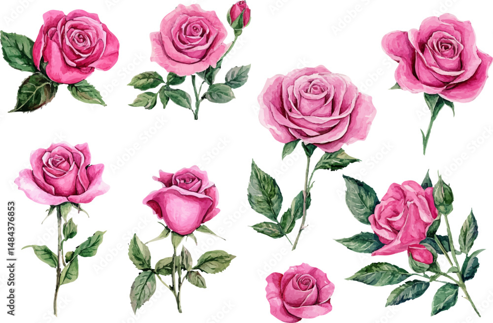 Fototapeta premium watercolor pink roses flowers