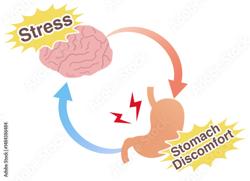 Conceptual illustration of how stress causes stomach pain: the gut-brain axis and functional dyspepsia