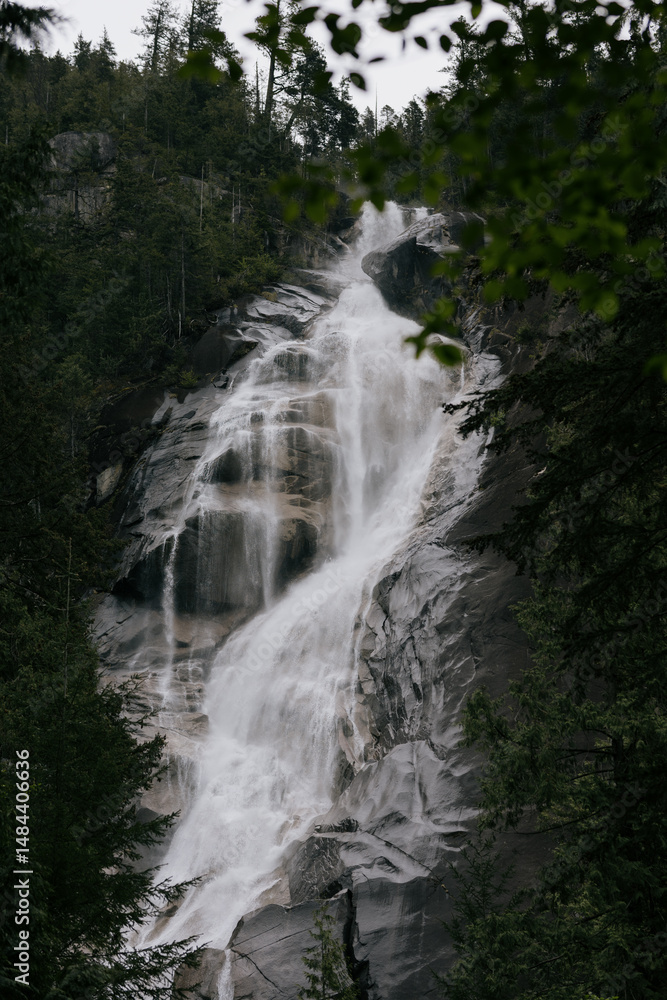 Obraz premium waterfall in the forest