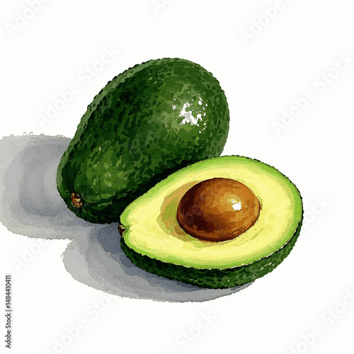 Buttery Layers in Watercolor Flow avocado isolated vector illustration svg