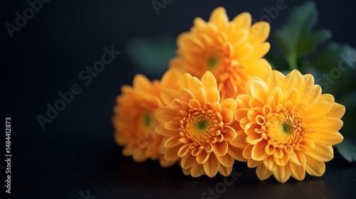 a bouquet of chrysanthemum flowers