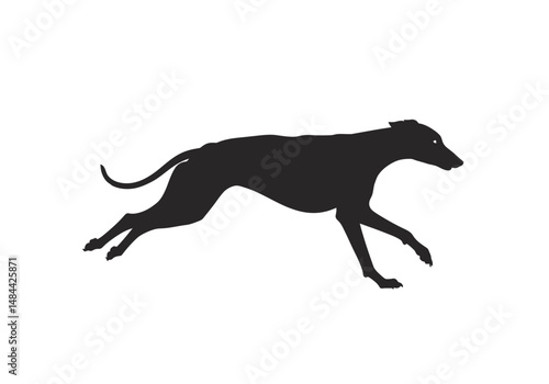 Running Greyhound Silhouette with Curled Tail and Streamlined Body