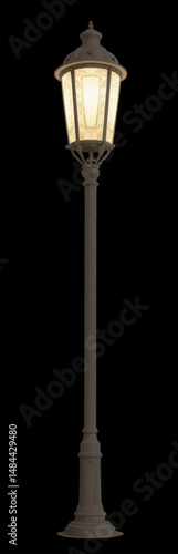 Elegant Street Lamp Illuminating Night with Warm Glow