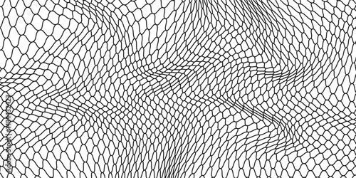 Black snake skin pattern isolated on white background